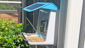 Lyfreen Smart Bird Feeder with Camera, Auto Motion Detection and AI Identify Bird Species