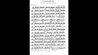 Paganini cantabile for violin and guitar op 17 mp4