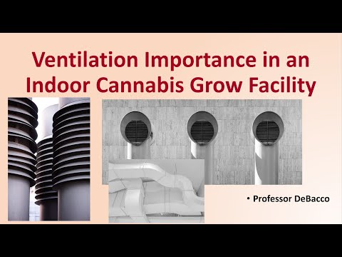 Ventilation Importance in an Indoor Cannabis Grow Facility