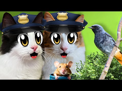 СТАЛИ ОХОТНИКАМИ на 24 ЧАСА! ЭКСТРЕМАЛЬНЫЙ ЧЕЛЛЕНДЖ ДЛЯ КОТОВ! КОТЯТА ЯНИ и ЮГИ СЛОВИЛИ НАРУШИТЕЛЯ