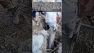 거대한 버킷에서 쏟아지는 콘크리트 타설 현장 #worker #process #construction #amazing #heavyequipment