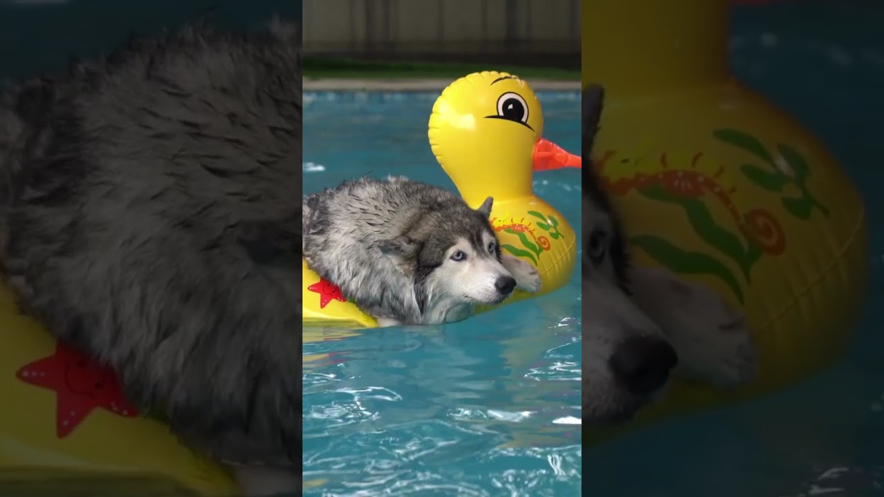 Summer Storage Got You Covered! ☀️ 🏊 😎