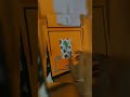 BAMS 3RD year gynacology project | project making| ADAMC ASHTA #shortfeed #viral #youtubeshorts