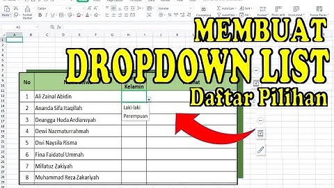 Cara Mudah Membuat Dropdown List di Excel