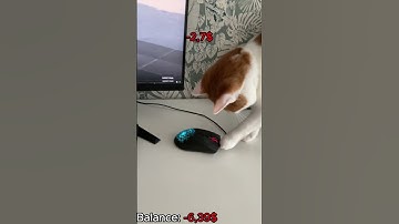 My cat open case in CS2  #cs2 #csgo #cs2clips #cs2moments #cs2skins #cs2funny #printstream #cs2shoes