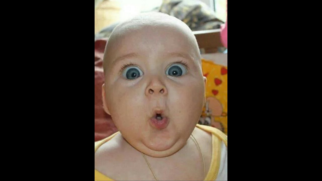 Смешные фотографии! Funny photos!! Very funny !!!