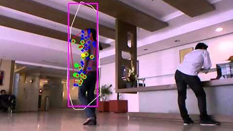 SURF-based Human Tracking Algorithm with Online Update of Object Model