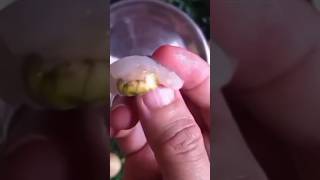 The Benefits Of Duku Fruit Seeds That You Need To Know Guys fruitbenefits fyp viral fruit se
