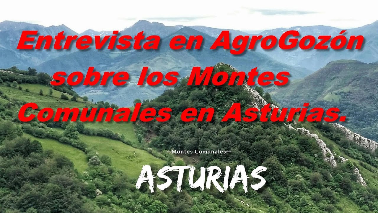 Entrevista en AgroGozón sobre los Montes Comunales en Asturias