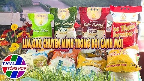 Nông nghiệp bền vững: Lúa gạo chuyển mình trong bối cảnh mới