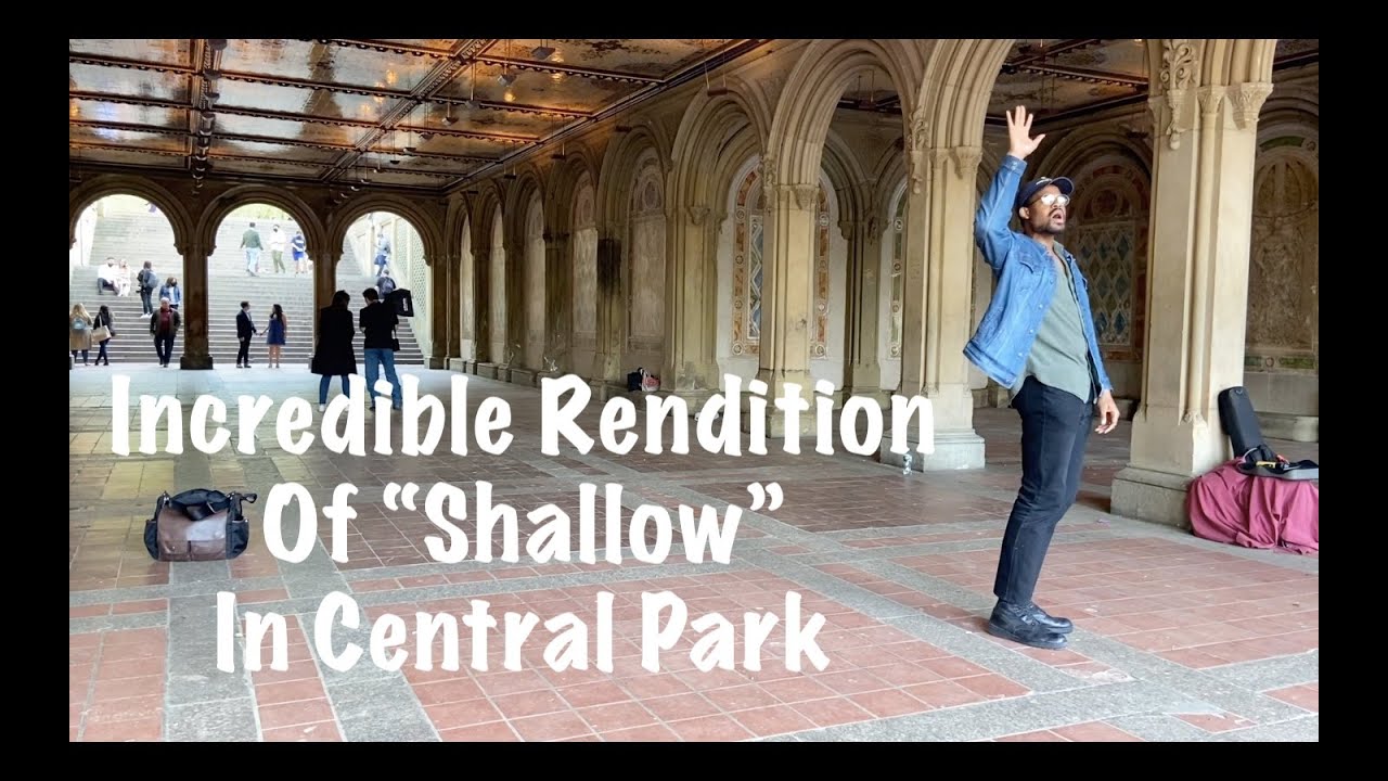 Bethesda Terrace – Just Looking Around – with ThomBradley