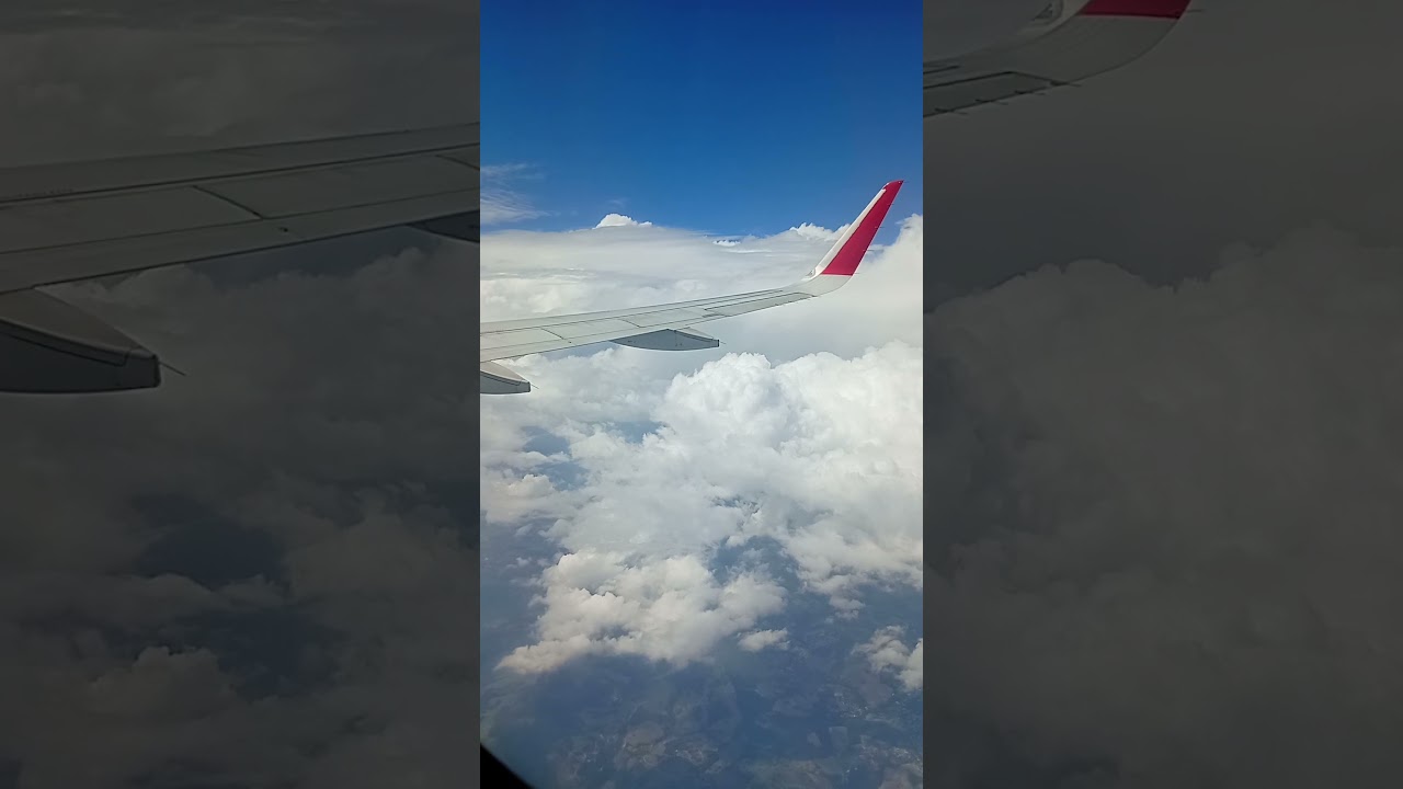 V&Ocirc;O &Eacute; VIDA