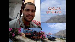 08 Çağlar Şenbayik Canimi Verecegim Müzi̇k