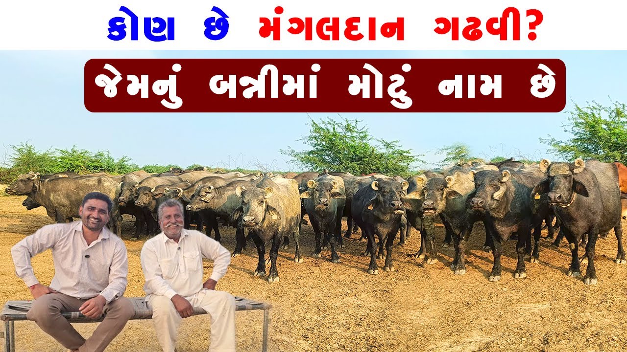 કોણ છે મંગલદાન ગઢવી? જેમનું બન્ની માં મોટું નામ છે.
