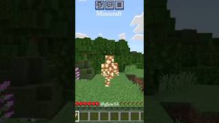 Minecraft But Everything Is Random Loot #minecraft #meme #funny