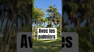 Rando balade dans une collection de palmiers #hiking