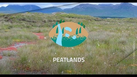 Sustainable land management for ecosystem restoration: Peatlands