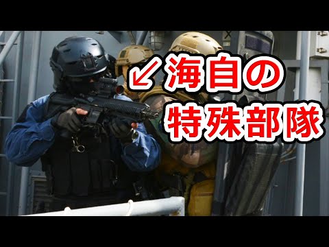 海上自衛隊の特殊部隊が新装備を買いまくってる件【NHG】 - YouTube