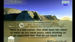 الشعراء - بصوت ياسر القرشي - الجزء 19 الربع 5