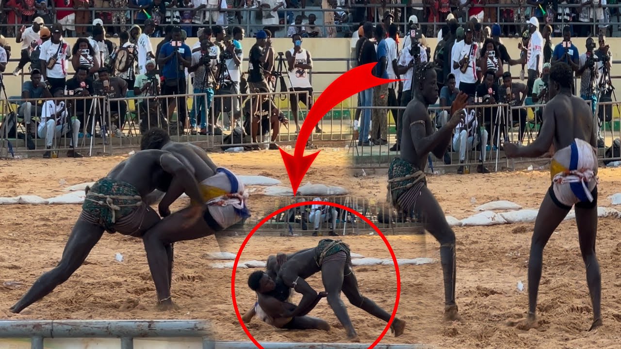 Combat bou nék fils de lang sané bat ibou afia 2 journée Milano production