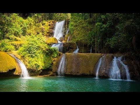 St. Vincent Rivers The best river in St Vincent - YouTube