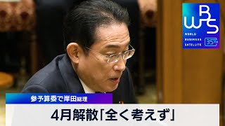 4月解散「全く考えず」　参予算委で岸田総理【WBS】（2024年3月4日）