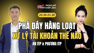 Chứng Khoán Mỗi Tối | Cổ Phiếu Phá Đáy Hàng Loạt - Xử Lý Danh Mục Thế Nào?