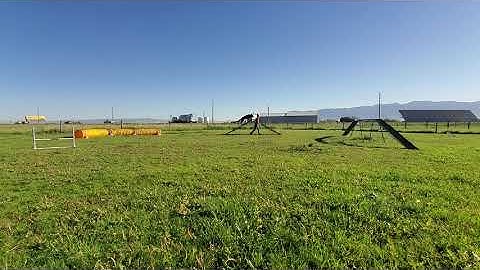 Lesson 10, Exercise 10.3 - Build a Chain Using Back-Chaining