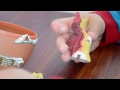 Middle of video
