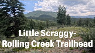 Little Scraggy to Rolling Creek — Into the Forest | Colorado Trail 3