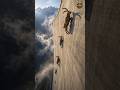This Animal Climbs A Perfectly Vertical Concrete Wall