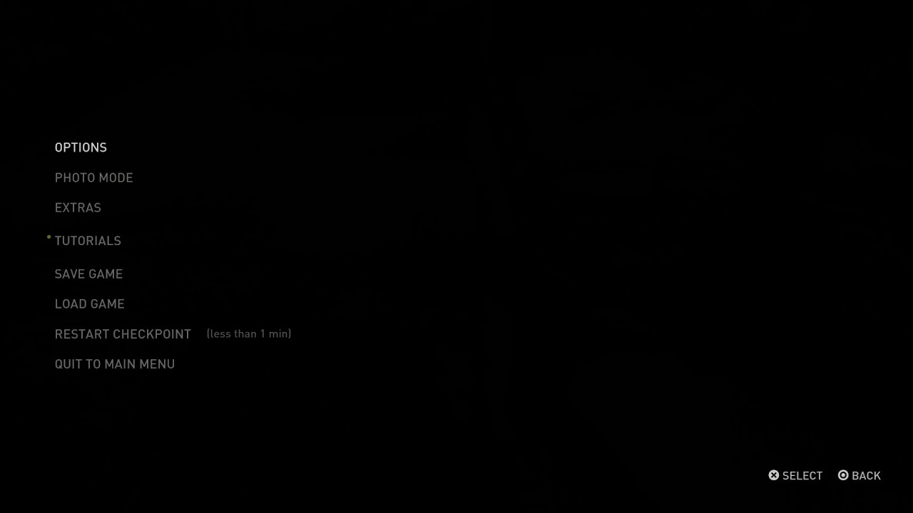 Last of Us Part 2 Replay: Abby