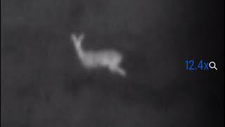 Hellion XQ38F Test 2