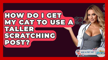 How Do I Get My Cat To Use A Taller Scratching Post? - Ask A Pet Vet