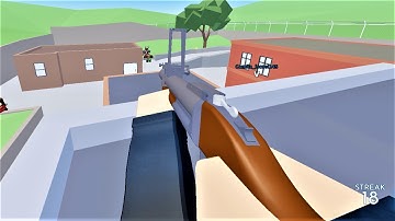 When you get a M79 in RANDOMIZER!