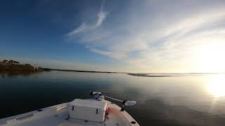 Captain Drew Cavanaugh - Spring 2023 Saltwater Ponce Inlet Fishing Report Near Orlando
