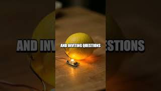 Everyday Home Science Adventures for Curious Minds
