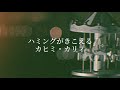 ハミングがきこえる/カヒミ・カリィ(cover)