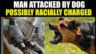 'Ordered' dog attack in Oceanside motivated by hate - Lawyer Reacts