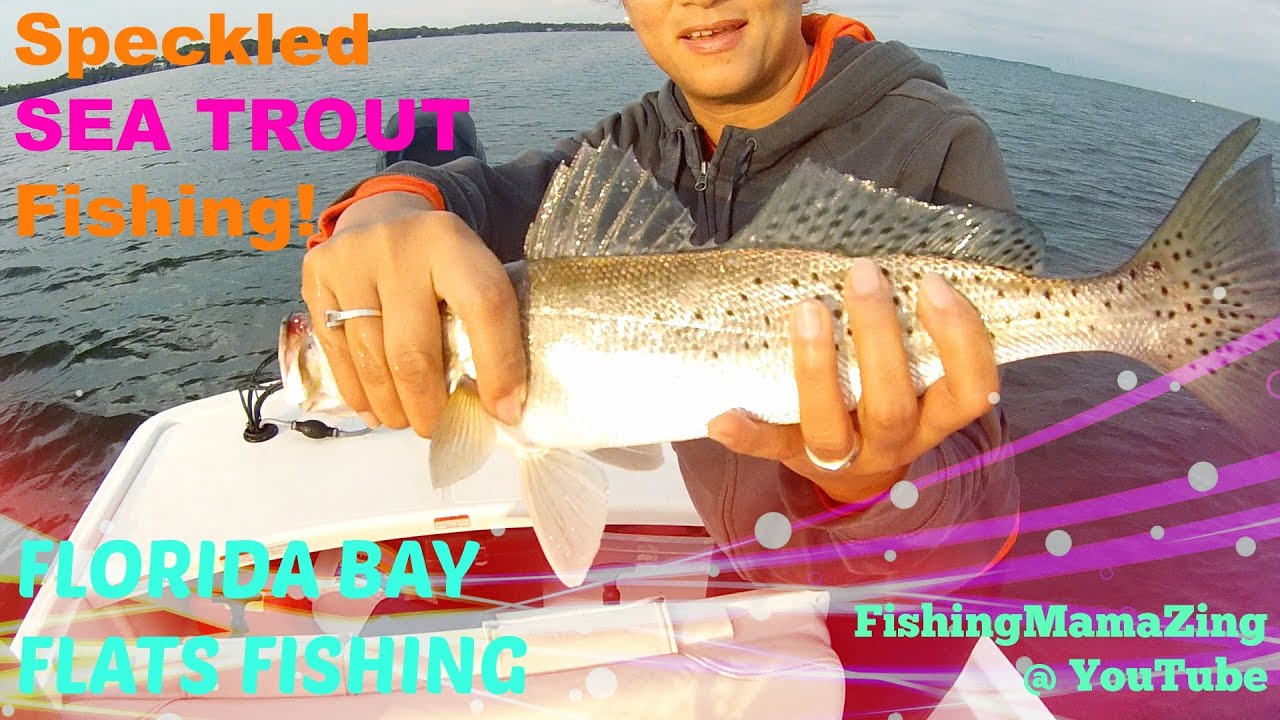 Sea Trout Fishing in Florida Meet the SPECK WRECKER! YouTube