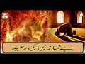 Watch Roshni Sab Kay Liye - 4th March 2019 - ARY Qtv Online In HD