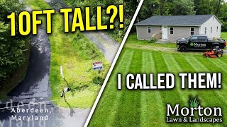 "Let Me Cut That Grass!" — Extreme Overgrown Yard Transformation