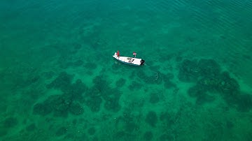 Finding Spots With Side Scan | Shallow Diving | Bonus Critter