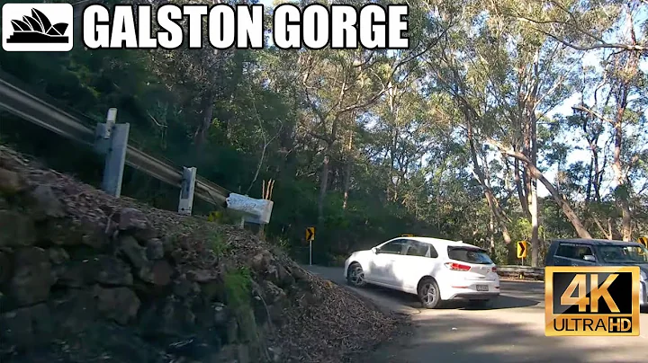 Galston Gorge - One of Sydney's best driving roads in 4K
