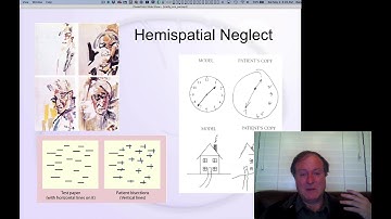 CCN Course 2020, Perception 7: Attention Intro