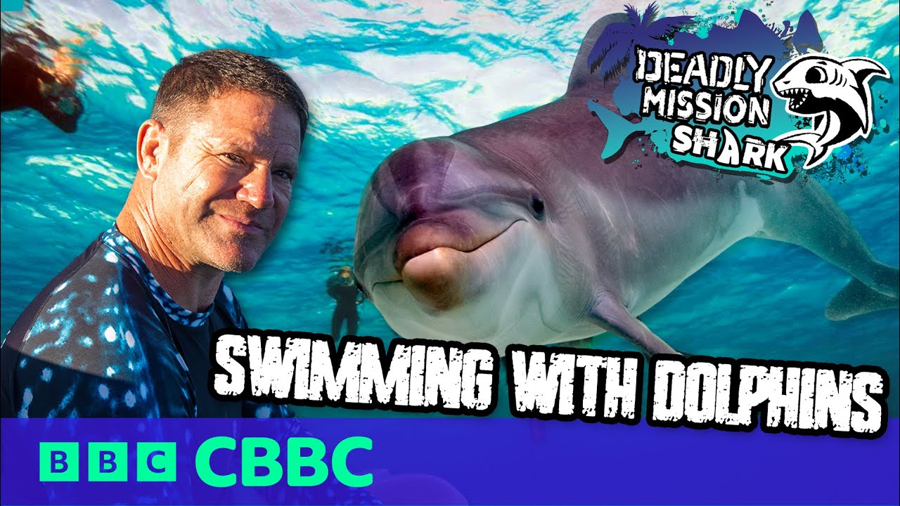 Swimming with Dolphins! 🐬‌ | Deadly Mission Shark | CBBC
