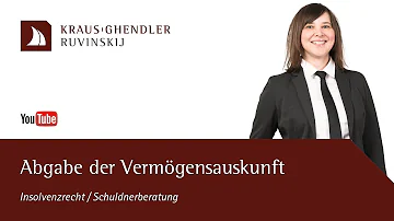 Wie sieht eine Vermögensauskunft aus?