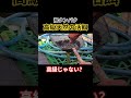 高級天然の活餌Part29 #熊本 #アクアリウム #shorts