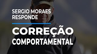 Correção comportamental: Todo cavalo tem jeito?