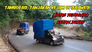 TAMBORASI TANJAKAN KEJAM DI SULAWESI screenshot 4